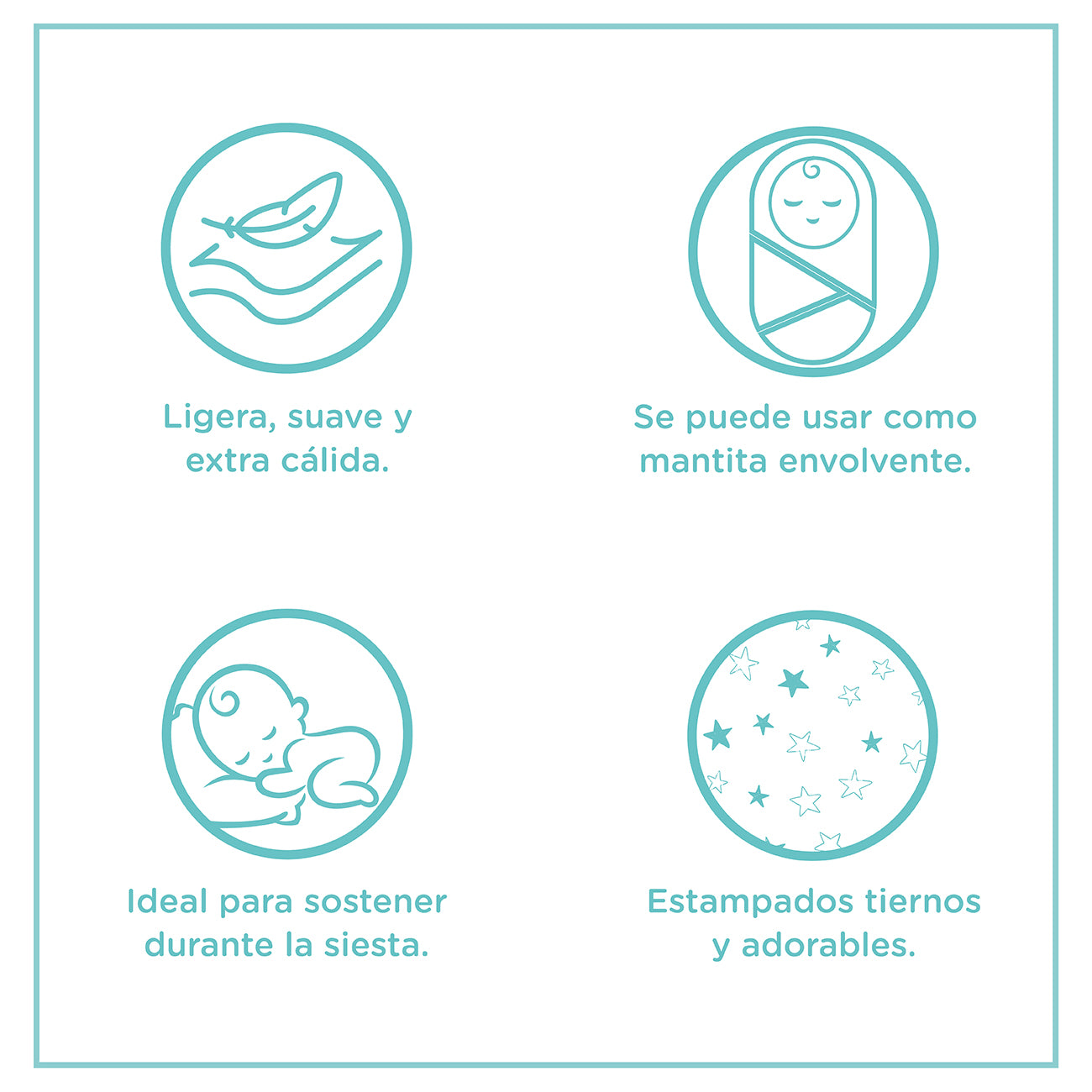 Infografía del producto