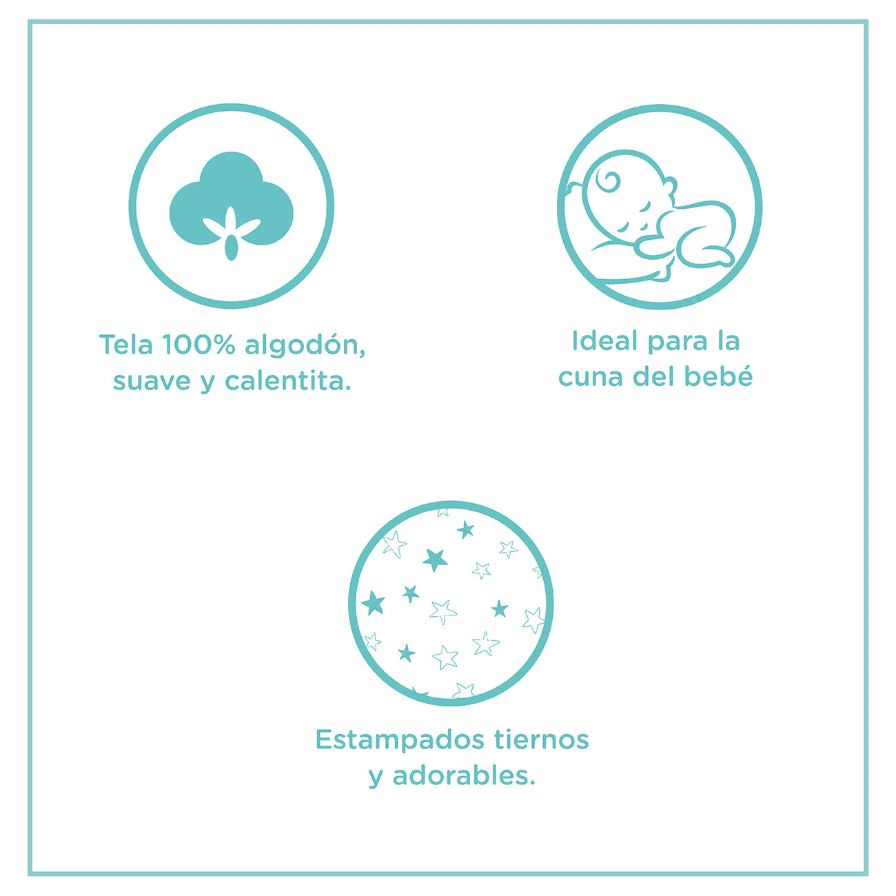 Infografía del producto