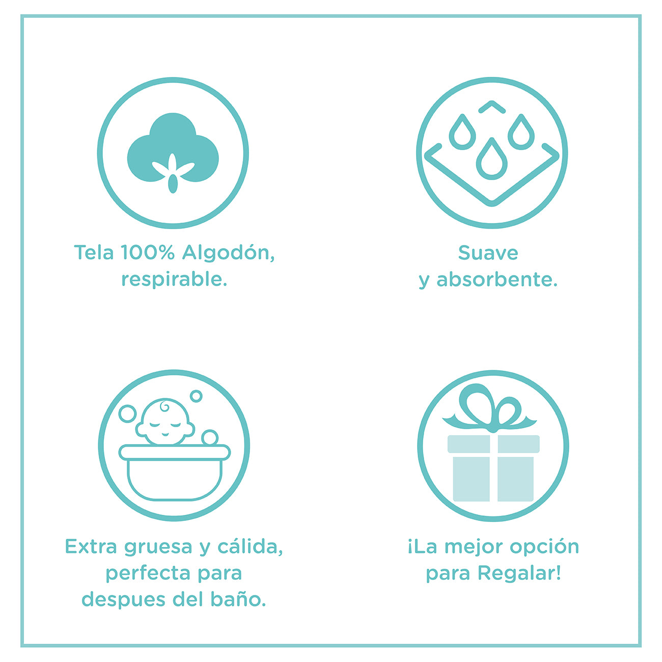 Infografía del producto